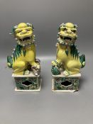 A pair of Chinese famille verte figures of Buddhist lions, Qing dynasty, 24.5cm