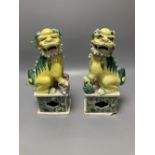 A pair of Chinese famille verte figures of Buddhist lions, Qing dynasty, 24.5cm