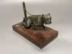 Attributed to Maison Alphonse Giroux - a cast bronze model of a chain tethered Mastiff, on rouge