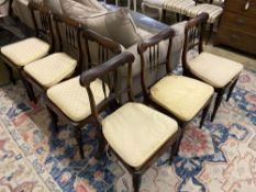 A set of six William IV rosewood cane seat dining chairs, with squab cushion seats