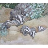 Kay Nixon (1895-1988), watercolour and gouache, Badgers, painted for the book Animal Mothers and
