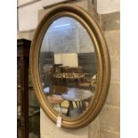 An oval gilt framed wall mirror, width 62cm, height 87cm