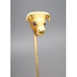 An Edwardian yellow metal and garnet set 'bull's head' stick pin, 65mm, gross 4.4 grams.CONDITION: