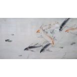 Chinese School (early 20th century), Koi Carp swimming among weeds, watercolour on silk, in
