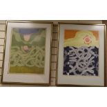 John Brunsden (1933-2014), two limited edition prints, Tangle and Nocturn, signed, 30/50 and 28/