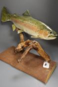 A painted wood model of a fish, 54cm