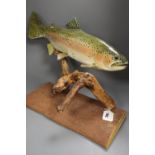 A painted wood model of a fish, 54cm