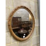 An oval laurel carved mirror, width 64cm height 75cm