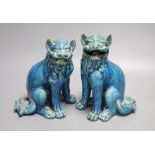 A pair of Japanese turquoise glazed pottery shi-shi, height 23cm