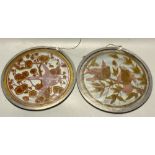 Two Victorian stained glass 'bird' roundels