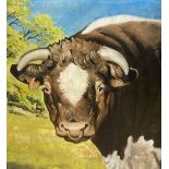 A modern oil on card study of a bull's head, 88 x 77cm