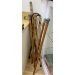 A collection of walking sticks, including ivory handlesCONDITION: Provenance - Alfred Theodore