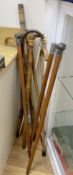 A collection of walking sticks, including ivory handlesCONDITION: Provenance - Alfred Theodore