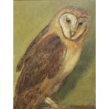 A modern oil on canvas study of a barn owl, housed in a late Victorian ebonised frame, 24 x 19cm