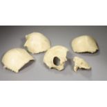 A Millikin and Lawley Victorian disarticulated human skull in original box