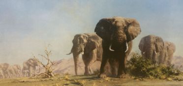 David Shepherd, limited edition print, 'Luangwa Evening', signed, 185/1500 and 'The Ivory is