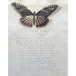 19th century English School, ink and watercolour, 'To The Butterfly A Sonnet', monogrammed and dated