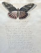 19th century English School, ink and watercolour, 'To The Butterfly A Sonnet', monogrammed and dated