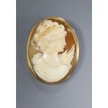 A modern cameo shell brooch-cum-pendant in 750 yellow metal mount with beaded edge, 41mm, gross 9.