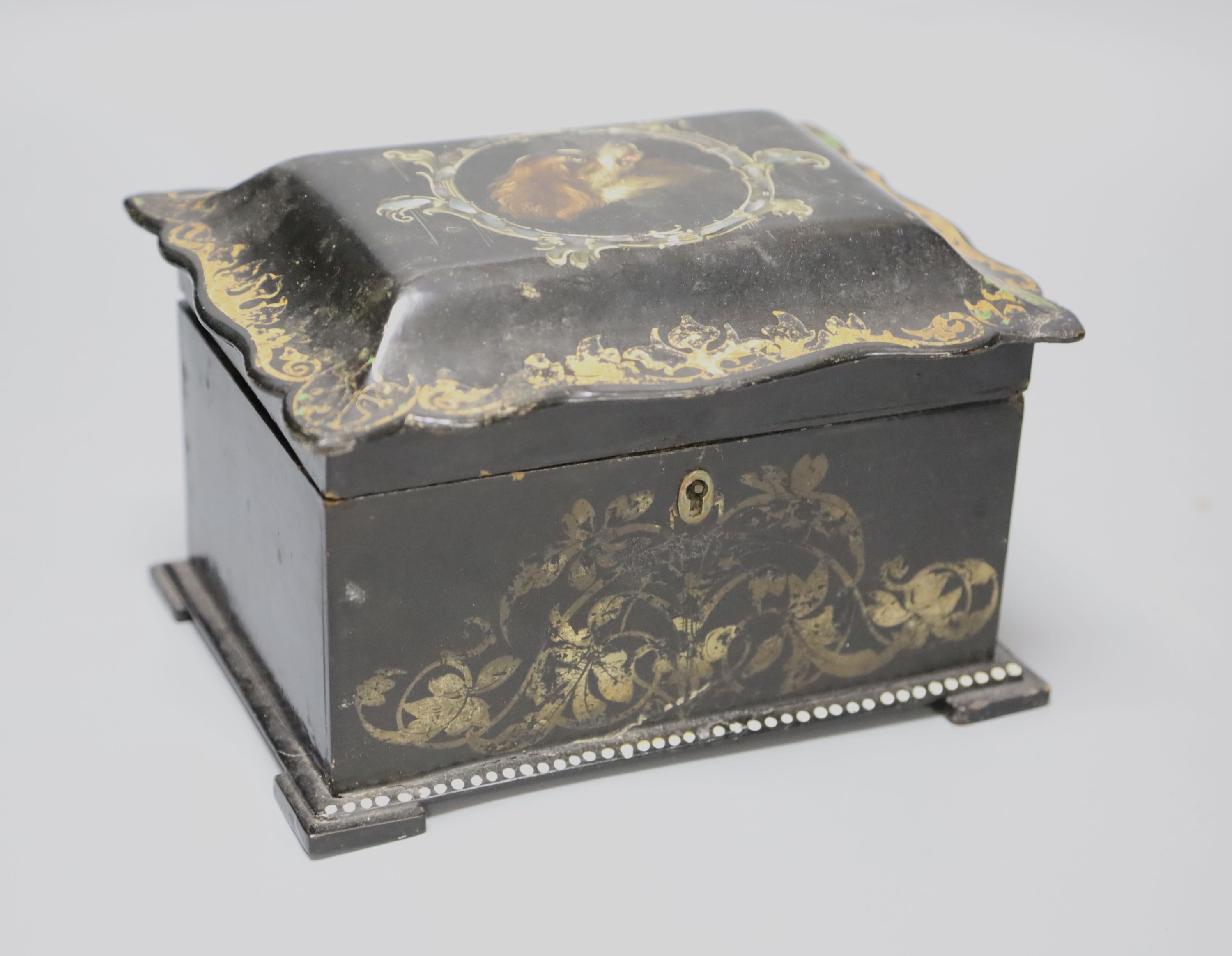 A 19th century black papier mache tea caddy cover painted with a central cartouche of a dog's head