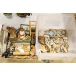 A collection of minerals, fossils and shells, together with a collection of rulers, fans and