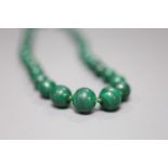 A single strand graduated malachite bead necklace, 50cm.