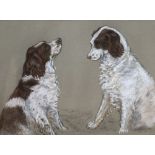 Peter Biegel (1913-1987), pastel, Studies of a Springer spaniel, signed, 34 x 44cm