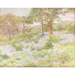 Arthur Foord Hughes (1856-1934), watercolour, Bluebells in the Ruffler, signed, 19 x 24cm