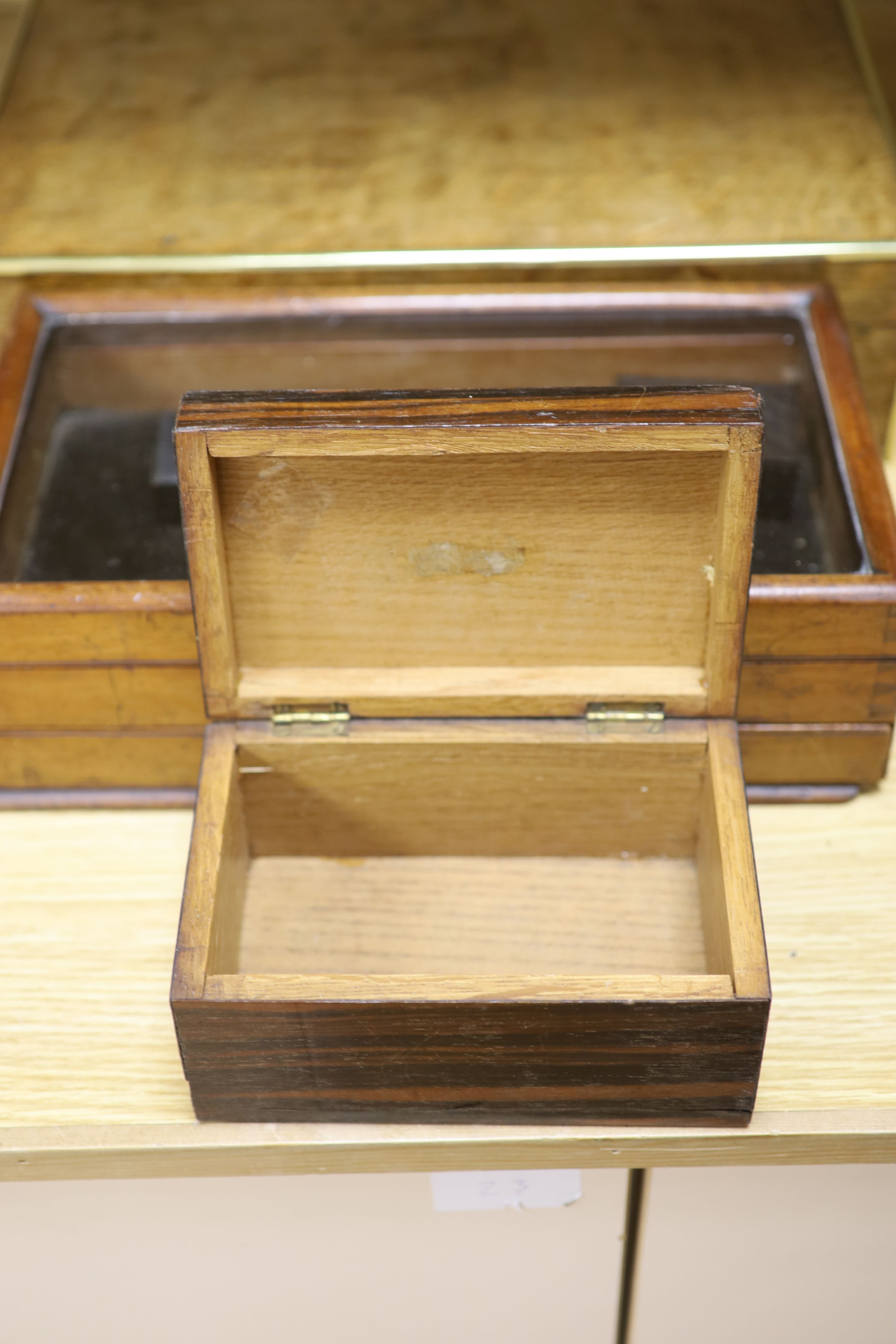 A display box, three snuff boxes, a Victorian brass bound oak document box and a coromandel box - Image 3 of 7