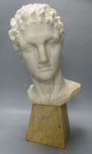 After the antique. A Veined white alabaster head of a Greek god, on a marble plinth, height 46cm