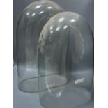 Two large Victorian glass domes with bases, tallest 57cm