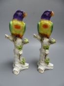 Two Continental porcelain models of parakeets, height 23.5cm