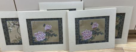Chinese School, set of nine watercolours on silk, Studies of flowers and insects, 19 x 21cm,
