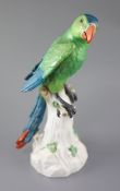 A large Meissen model of a colourful parrot, late 19th century, the figure seated upon a tree