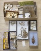 A collection of sea creature and reptile specimens, most collected before 1945, to include shark's