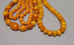 Two single strand amber bead necklaces, 106cm and 88cm, gross 95 grams and a reconstituted amber?