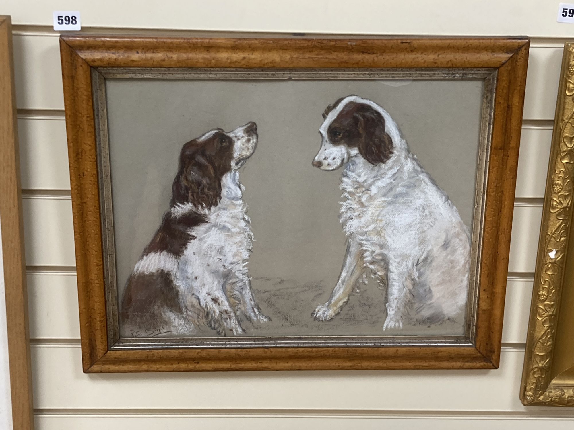 Peter Biegel (1913-1987), pastel, Studies of a Springer spaniel, signed, 34 x 44cmCONDITION: Good - Image 2 of 3