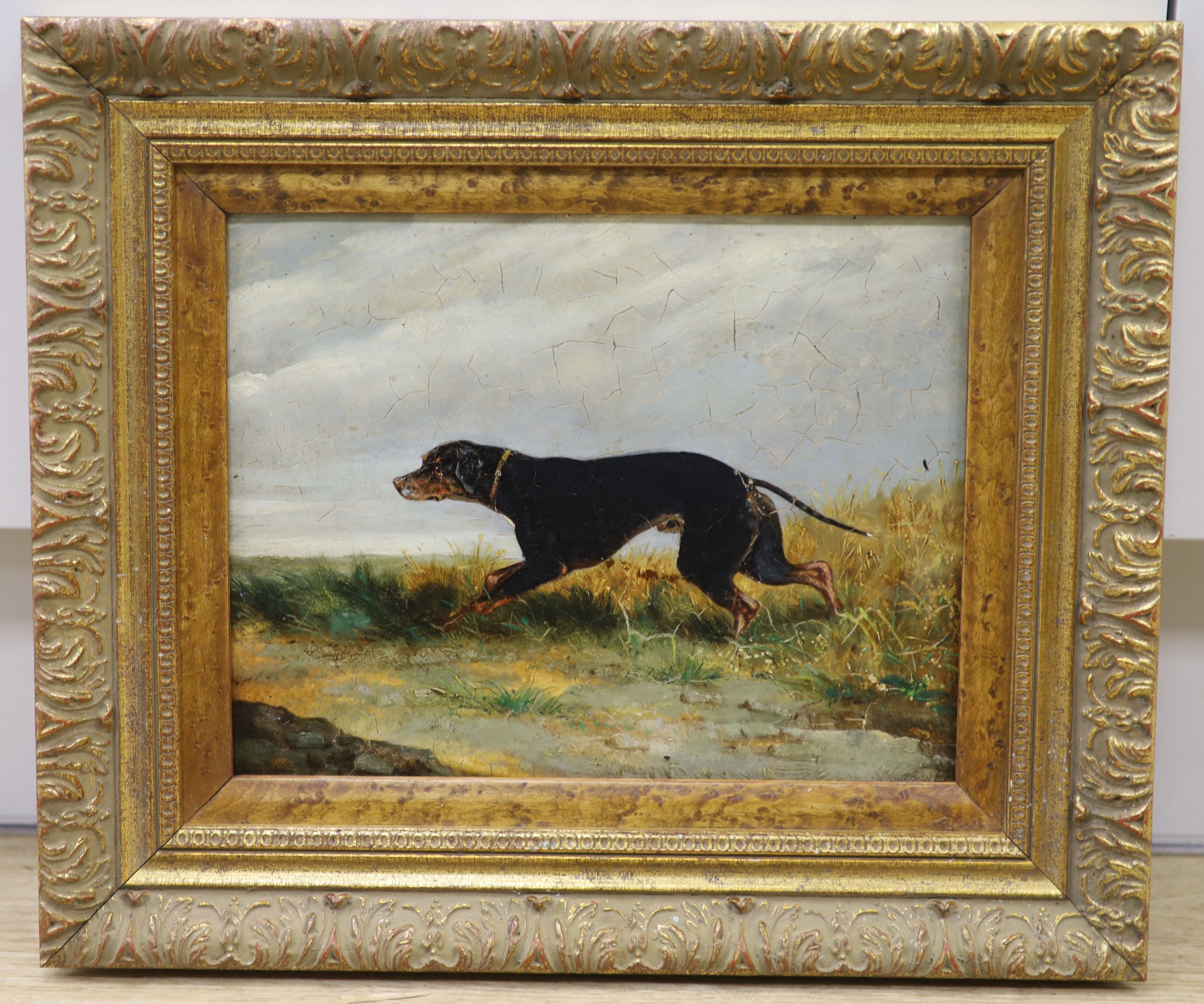 Circle of George Armfield (1810-1893), oil on artist board, Hound in a landscape, 21 x 27cm - Image 2 of 3