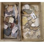 A large collection of fossil marble and fossil specimens, collected before 1970, largest 19.5cm,