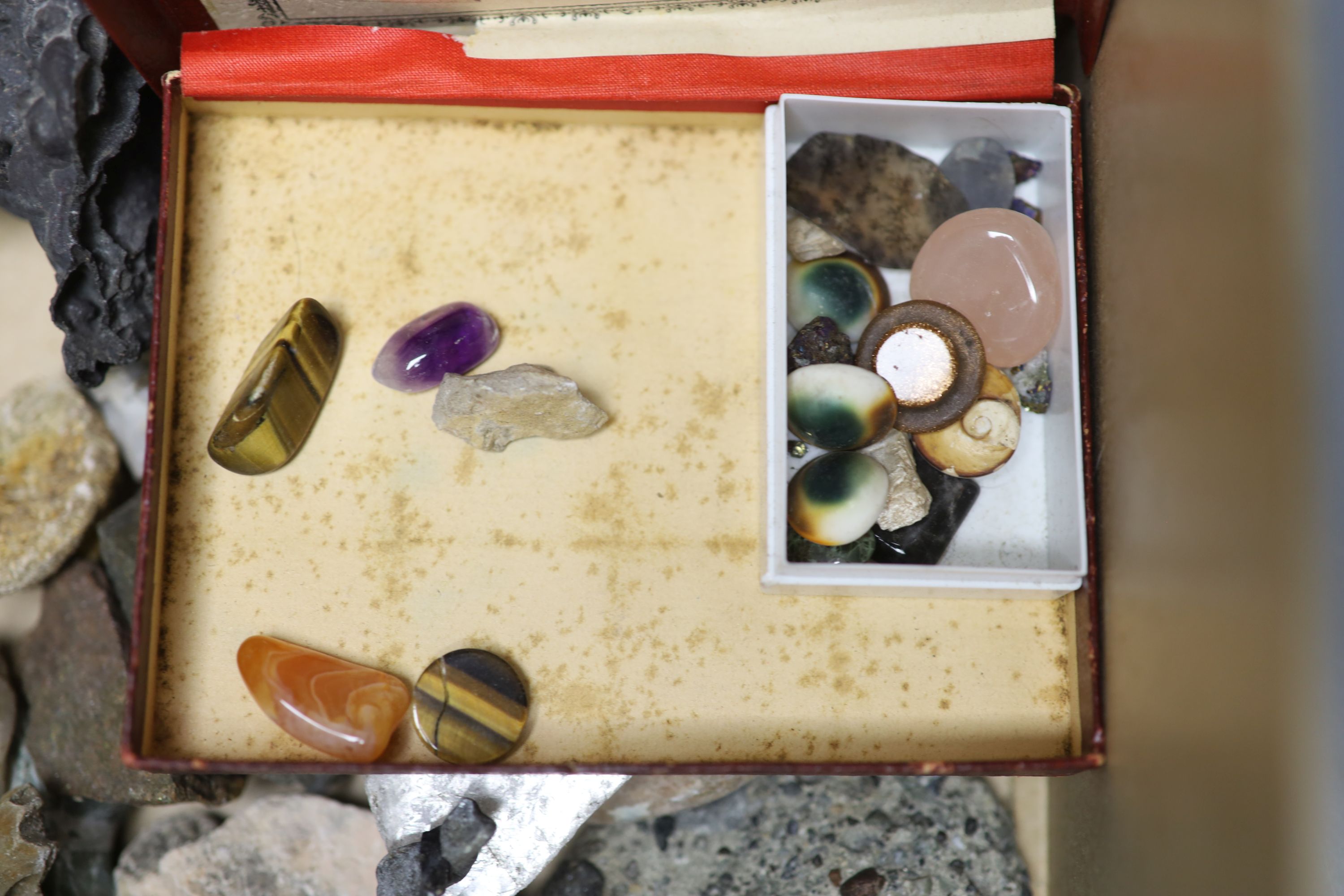 Two boxes of geological specimens, collected before 1970,CONDITION: Provenance - T. Gerrard & Co - Image 2 of 8