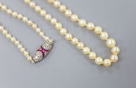 An early 20th century single strand graduated seed pearl necklace, with white metal ruby and diamond