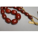 A single strand graduated simulated cherry amber necklace, 43cm, gross 75 grams.