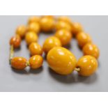 A single strand graduated oval amber bead necklace, 40cm, gross 46 grams.CONDITION: Largest bead