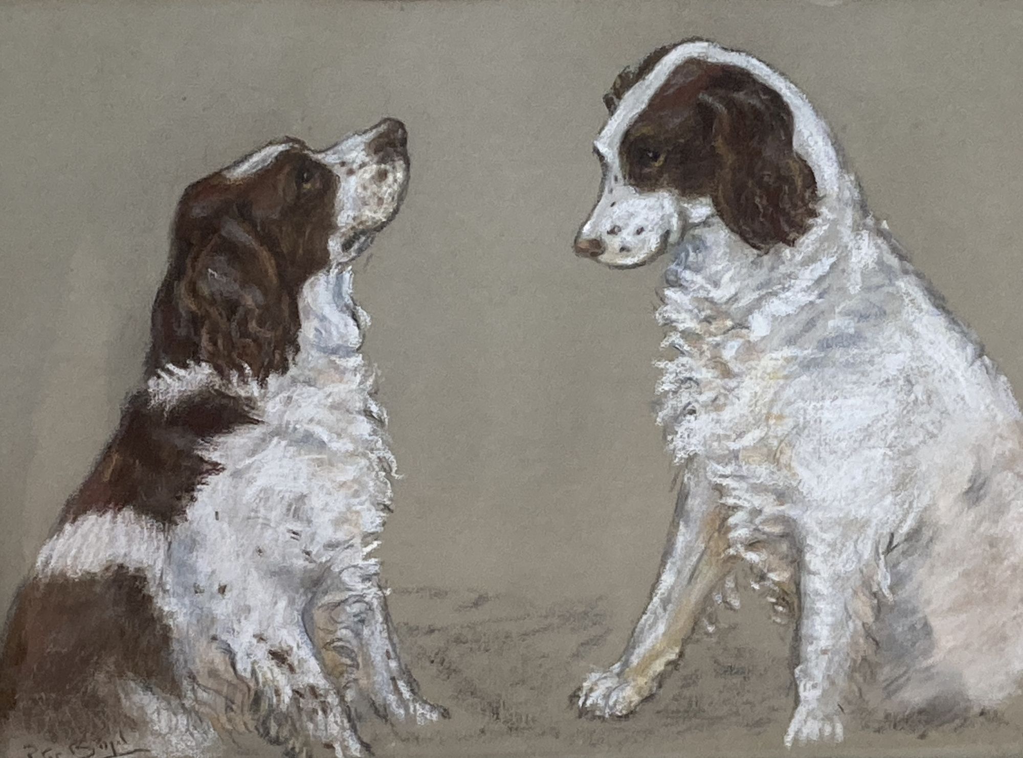 Peter Biegel (1913-1987), pastel, Studies of a Springer spaniel, signed, 34 x 44cmCONDITION: Good