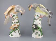 A pair of large German porcelain models of raptors, late 19th century, each seated upon a tree