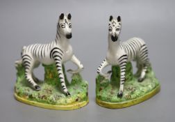 A pair of Staffordshire pottery models of zebra, height 12.5cm