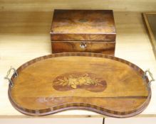 An Edwardian mahogany and marquetry kidney tray, length 61cm, and a Victorian walnut writing box