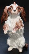 A Meissen model of a Bolognese Terrier, late 19th century, modelled seated in begging pose, brown