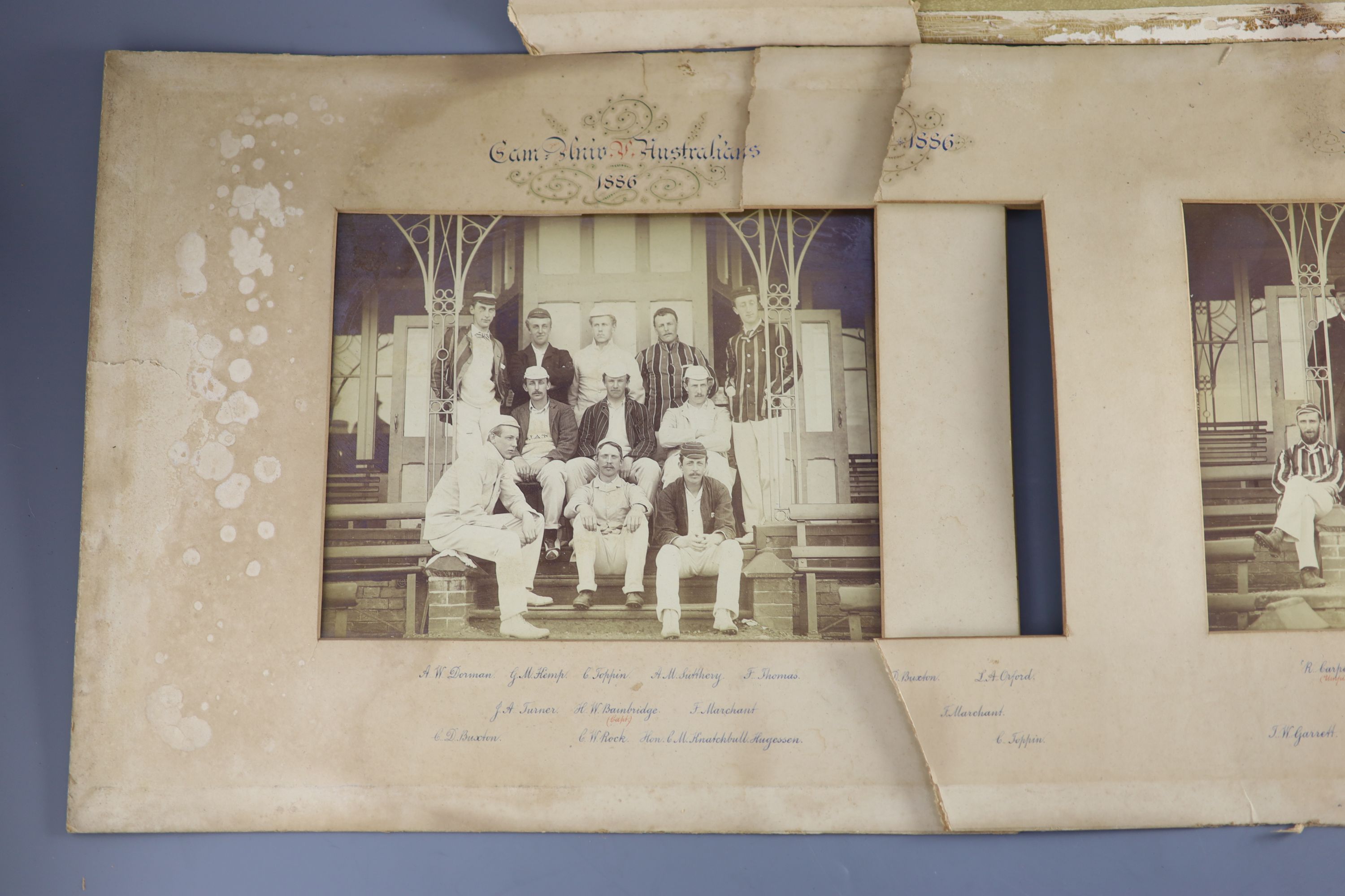 A set of three photographs of the Cambridge University Cricket 11 v Australians 1886, photographed - Image 4 of 9