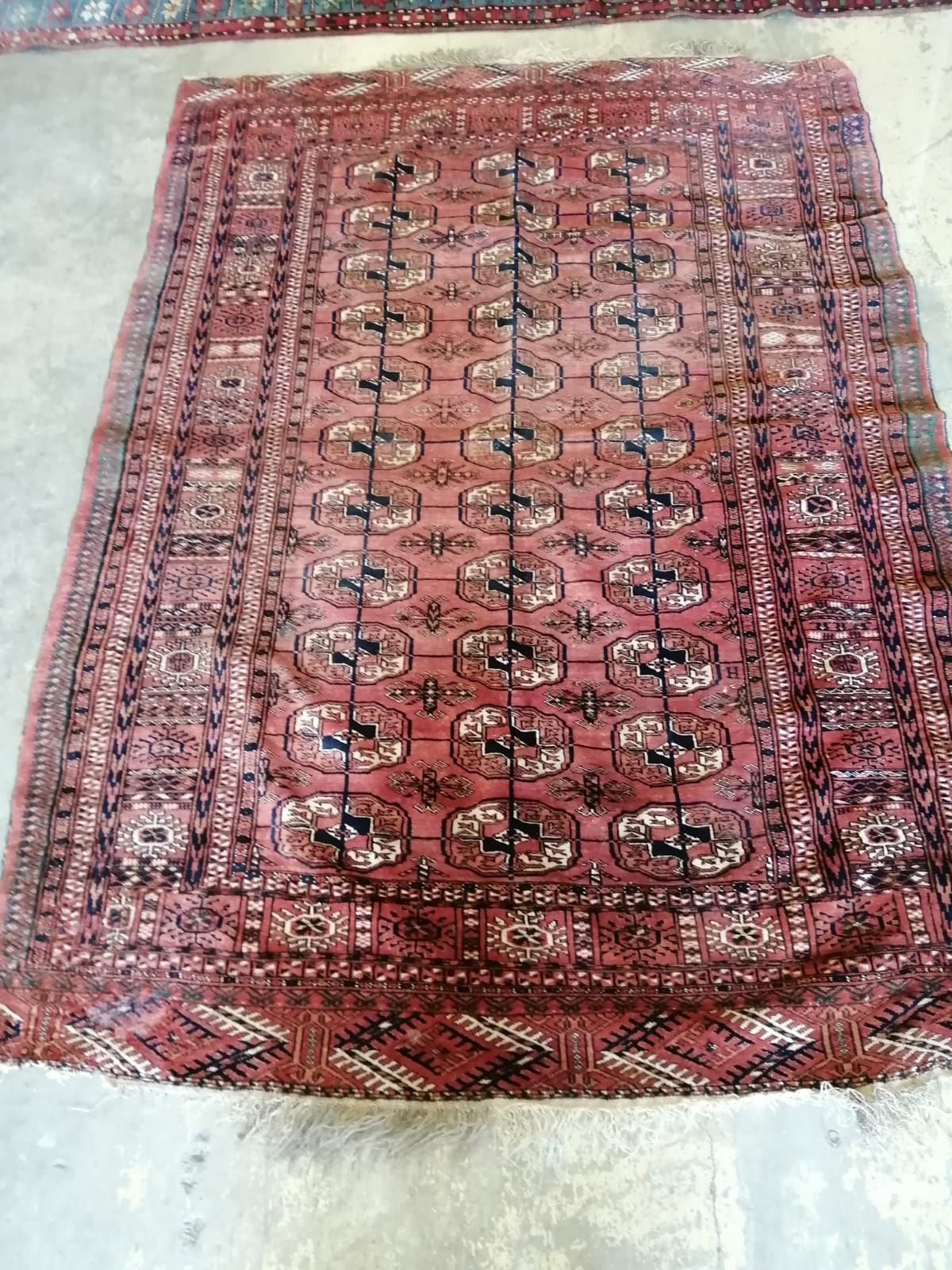 A Tekke Bokhara red ground rug, 182 x 132cm